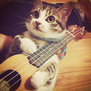 雷影大战纲手漫画免费阅读全集
