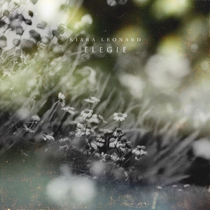 雷影大战纲手漫画免费阅读全集
